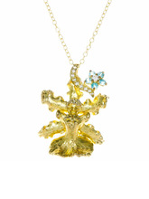 Royal Orchid Collection